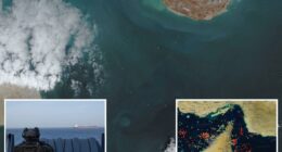 Strait of Hormuz âcompletely openâ as Trump celebrates tumbling oil prices, says Iran removing all sea minesÂ 